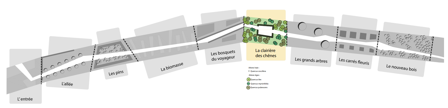 La clairière des chênes